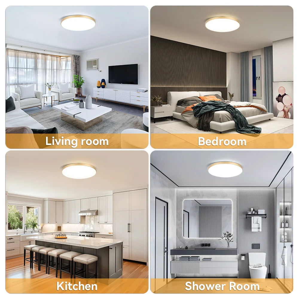 Black Led Ceiling Lamp 220V Dustproof Ceiling Panel Lamp Indoor Bathroom Lamp for Living Room Decor Ultra-thin LED Ceiling Light